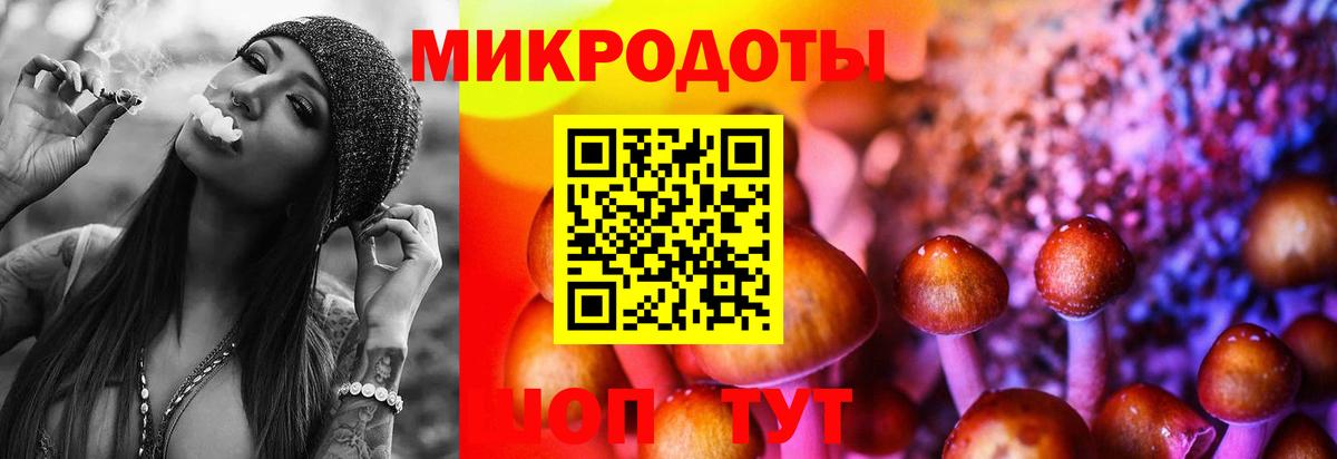 Златоуст  Псилоцибиновые грибы прущие грибы  Вход с VPN 